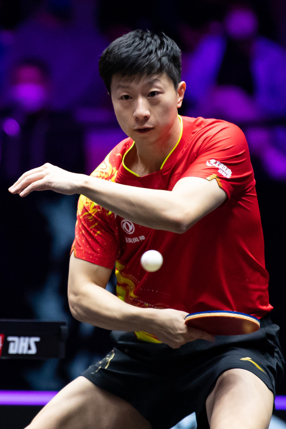 都是数月集 都是数月集