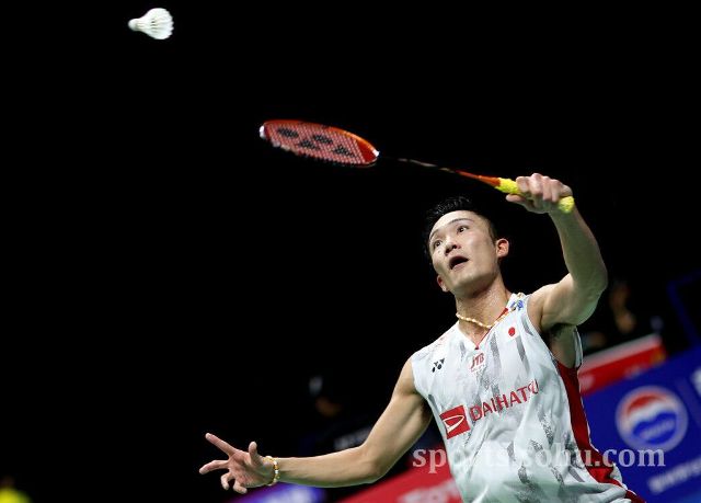 这表明他们 这表明他们