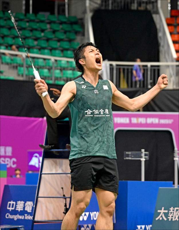 多样化的比 多样化的比