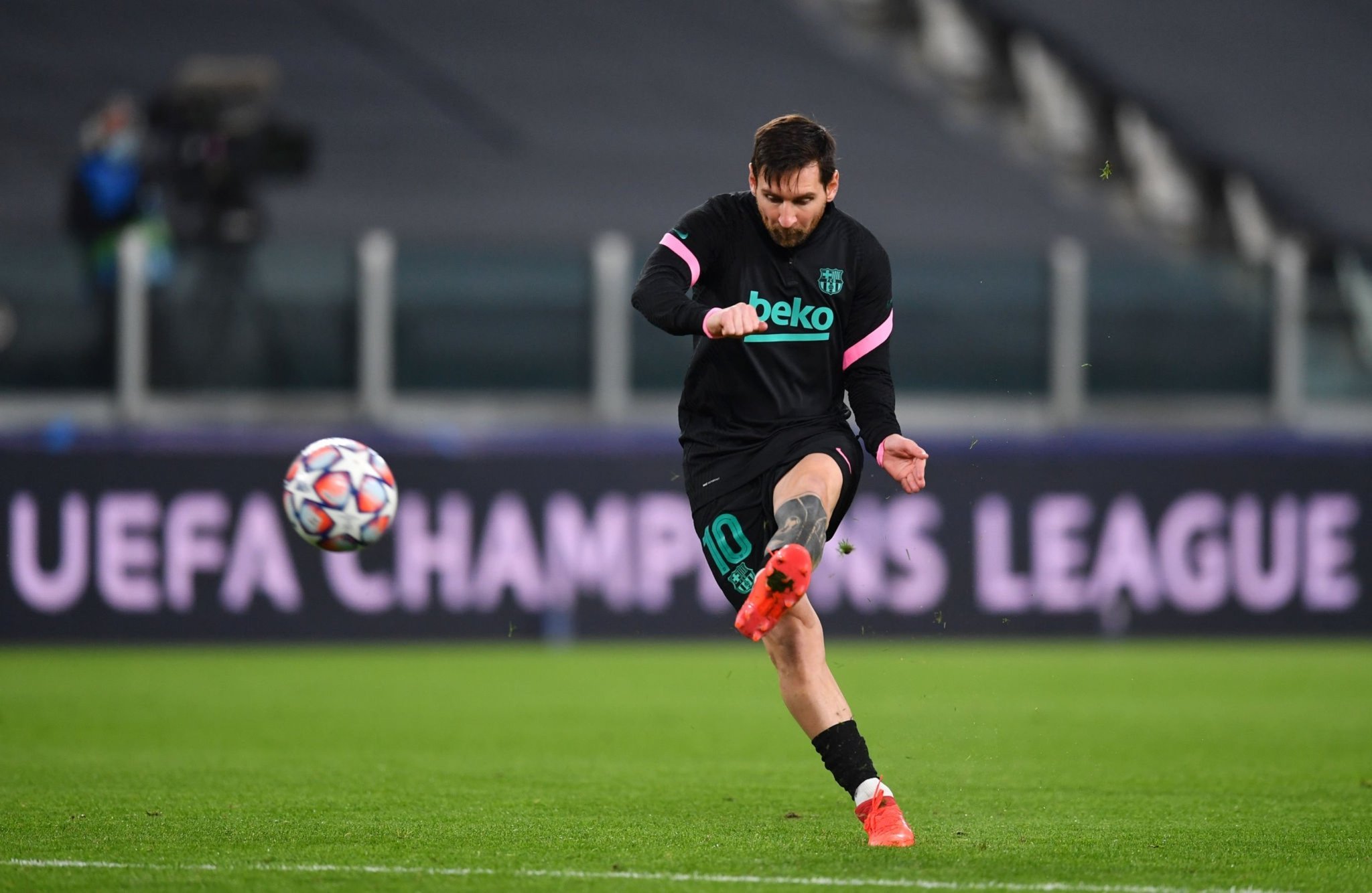 多样化的比 多样化的比