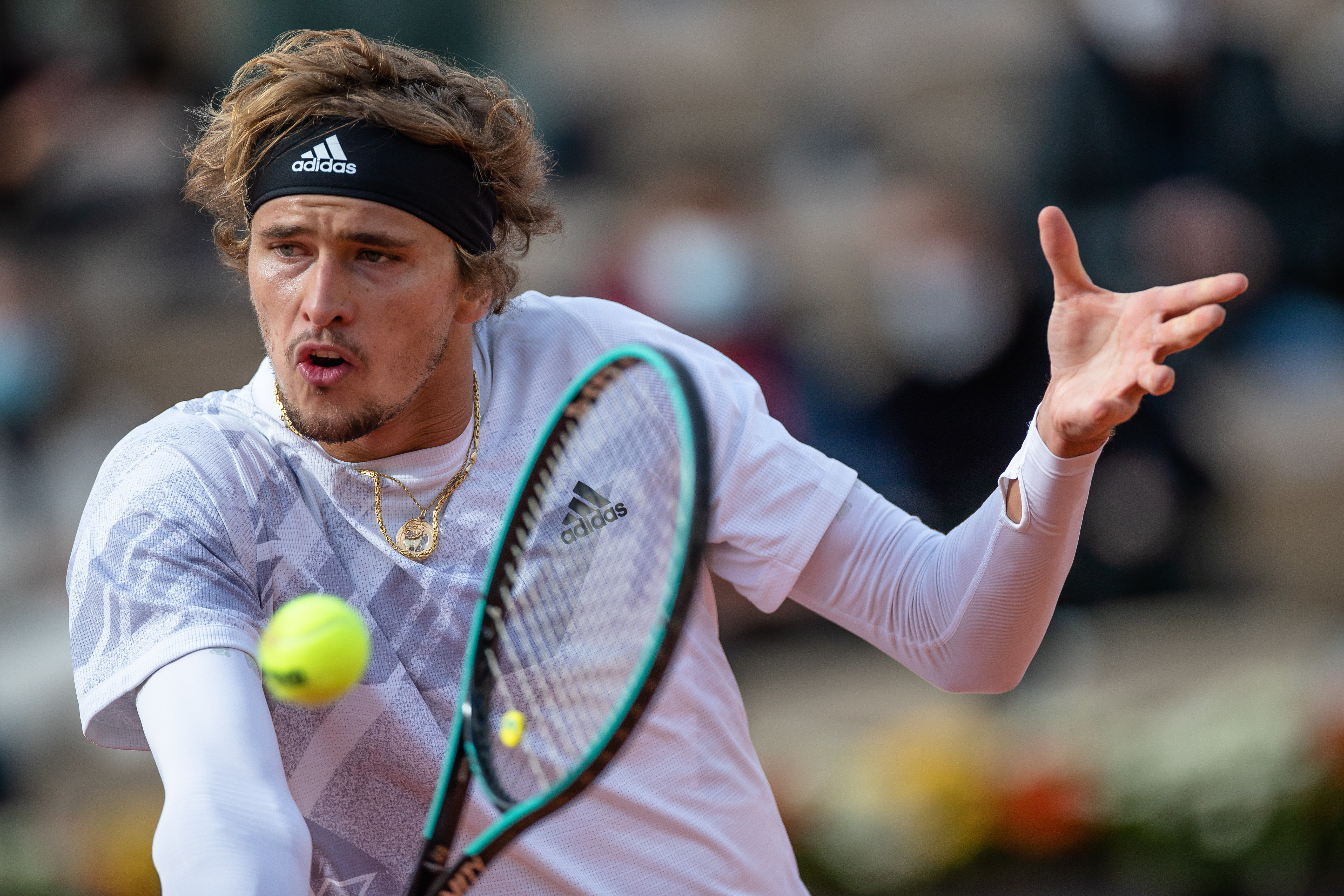 体育运动的 体育运动的